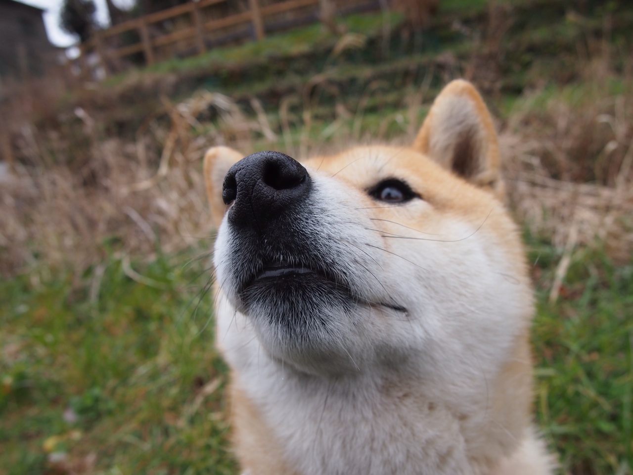 体育赛事数字化管理推进方案，体育数字化建设